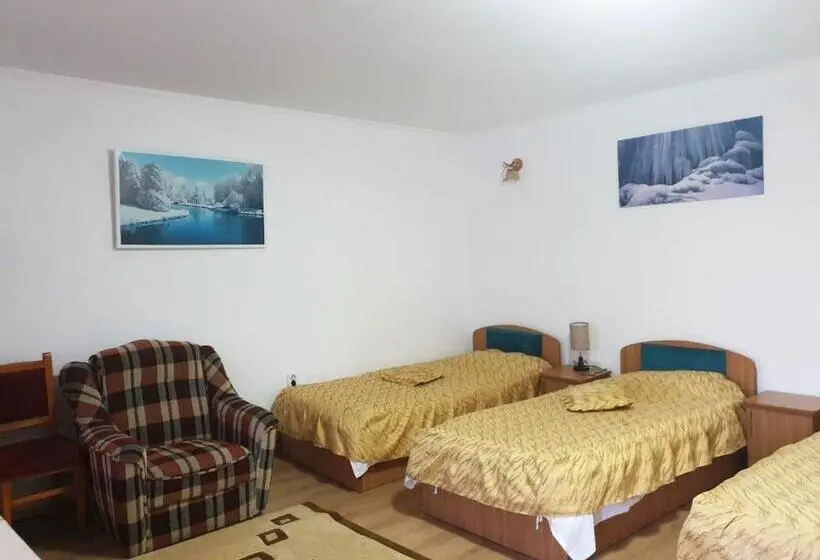 اتاق استاندارد سه نفره, Pensiunea Dana