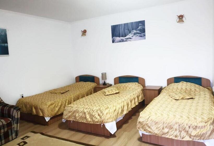 스탠다드 트리플 룸, Pensiunea Dana