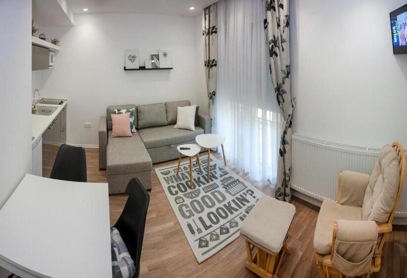 استودیوی استاندارد, Villa Onix