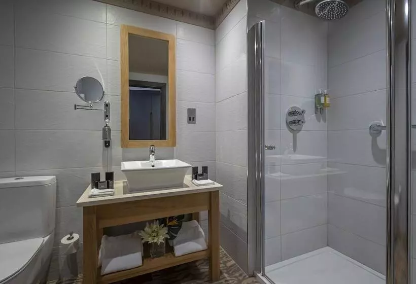 デラックスルーム, Boyne Valley Hotel Bed & Breakfast Only