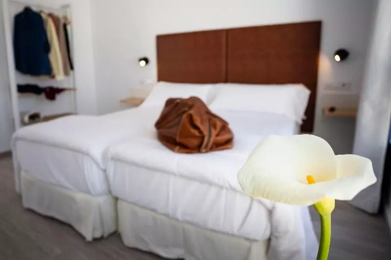 اتاق خانوادگی, Basic Hotel Sevilla Catedral
