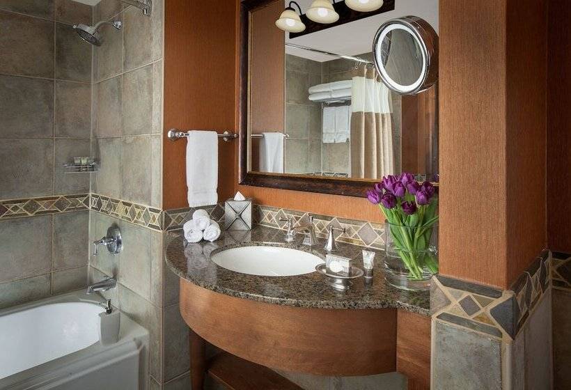 اتاق لوکس, Snake River Lodge & Spa