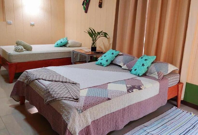 غرفة قياسية ثلاثية, Casa El Tortugo