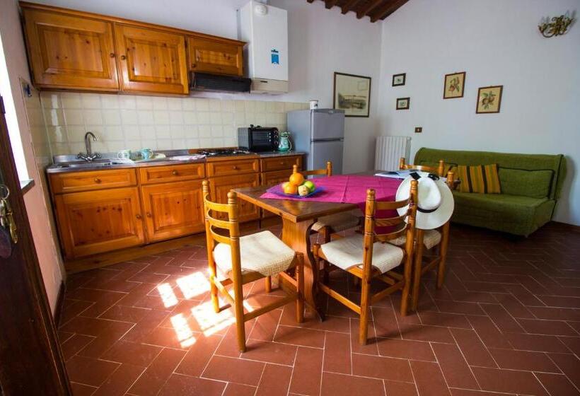 Апартаменты 1 Спальня с Террасой, Borgo Il Poggio Agritourismo