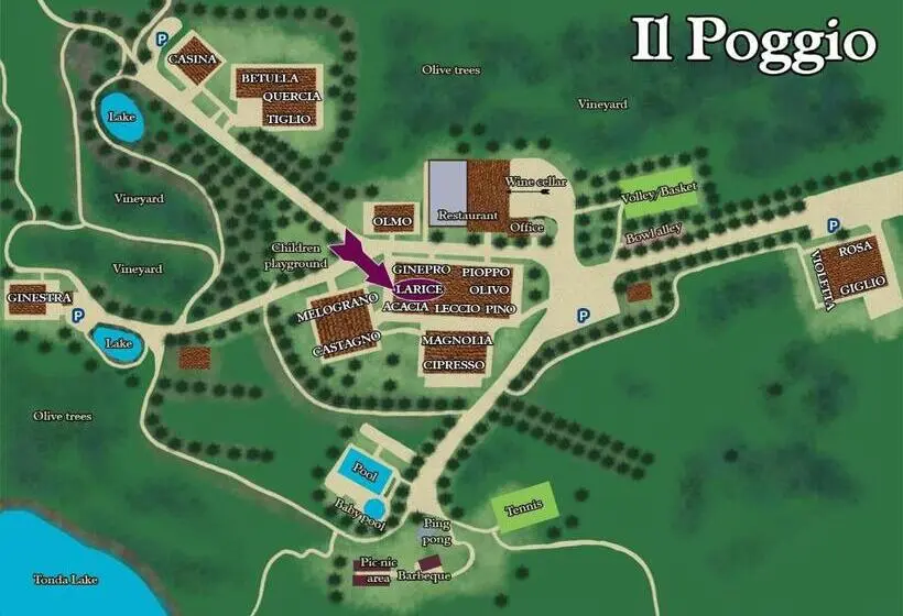 テラス付き１ベッドルームアパートメント, Borgo Il Poggio Agritourismo