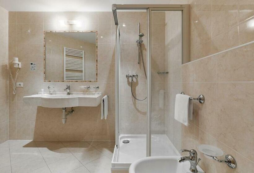 Номер Стандарт с Балконом, Wellness Sporthotel Ratschings