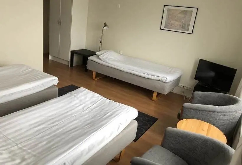 اتاق استاندارد سه نفره, Strandnäs Hotell