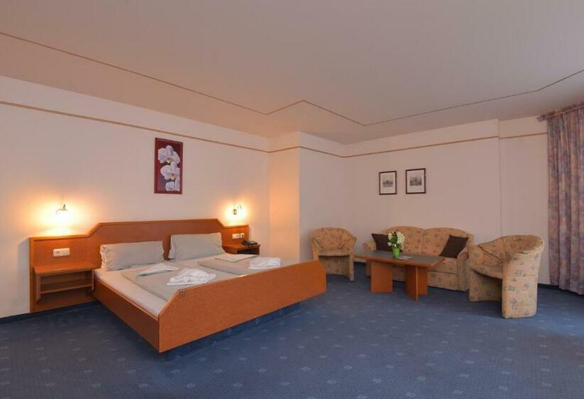 스탠다드 룸 산 전망, Waldhotel Feldbachtal