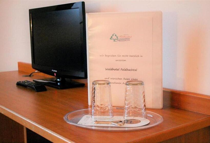 스탠다드 룸, Waldhotel Feldbachtal