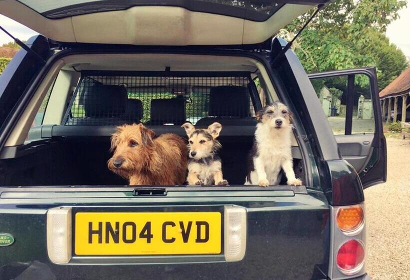 标准房带园景, Valley View Farm, Bed And Breakfast