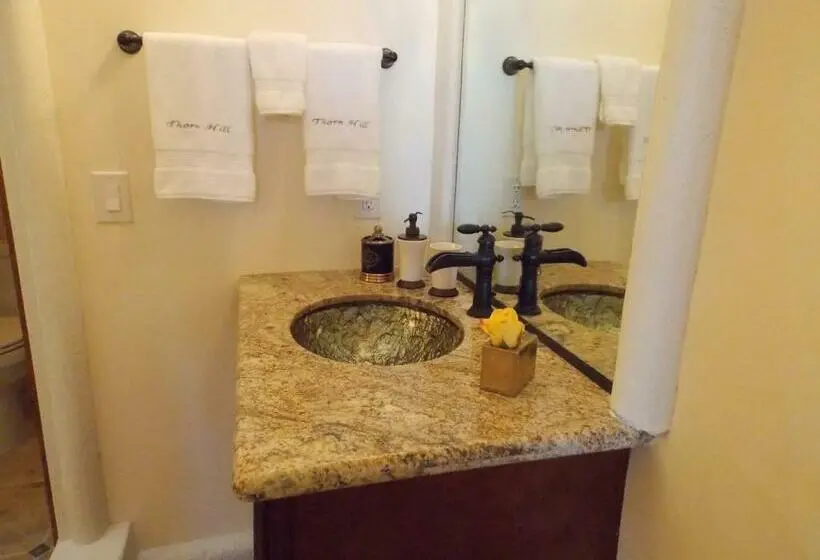 デラックススイート, Thorn Hill Vineyards Villa Suites