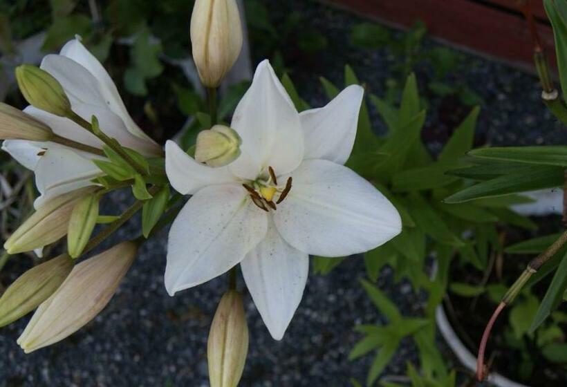 Номер Стандарт Совместная Ванная, Wonderful Home