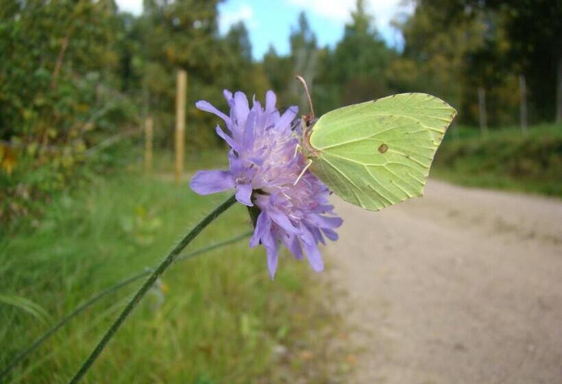 Номер Стандарт Совместная Ванная, Wonderful Home
