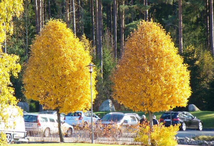 Номер Стандарт, Wonderful Home
