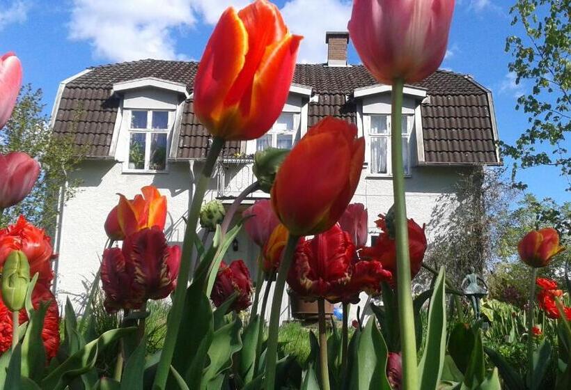 Номер Стандарт, Wonderful Home