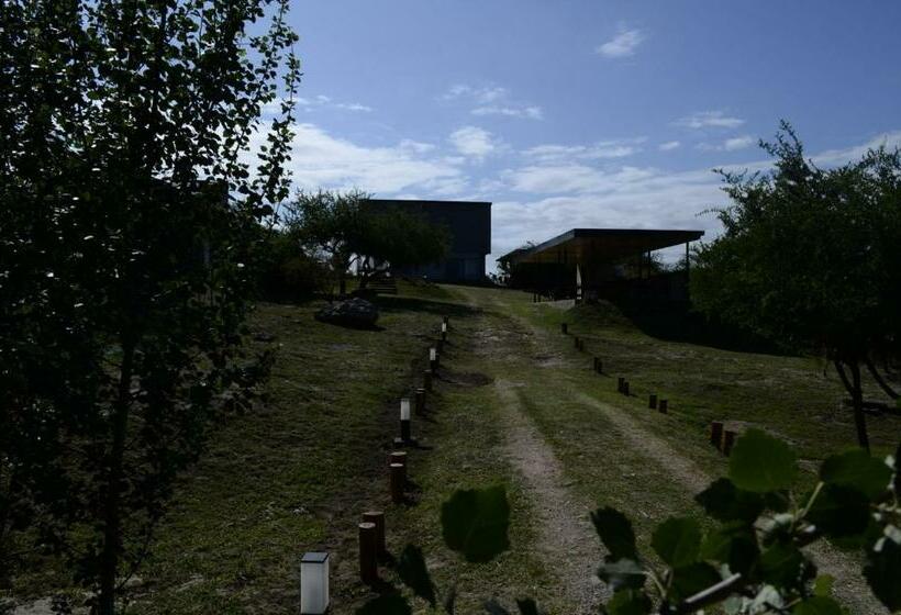 דירת חדר, Complejo Joansa