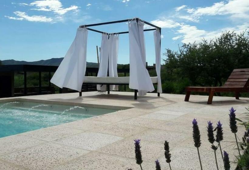 דירת חדר, Complejo Joansa