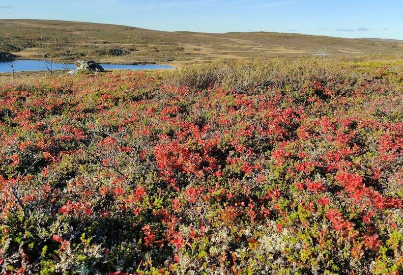 2ベッドルームアパートメント, Holiday Village Nuorgamin Lomakeskus