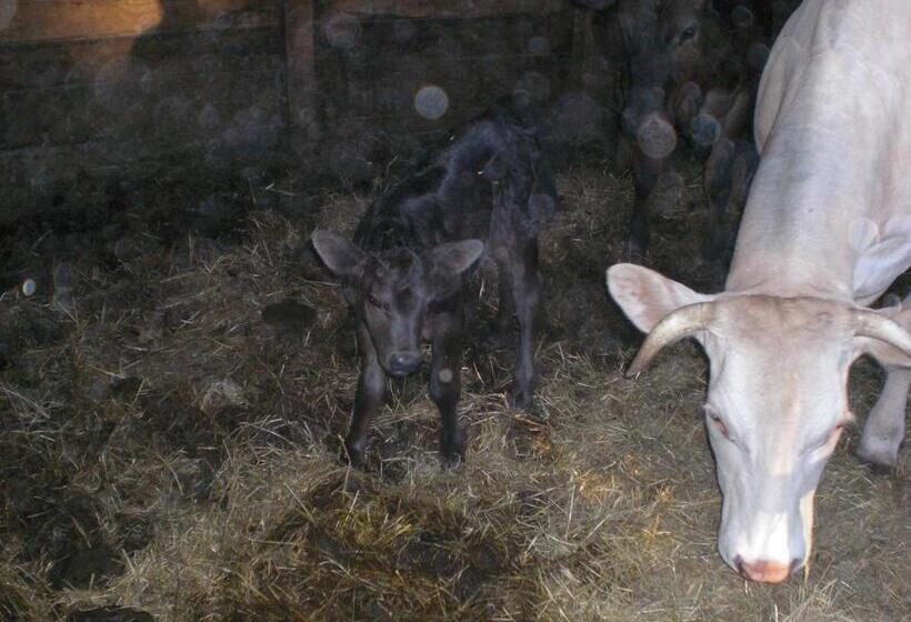 스탠다드 스튜디오, Agriturismo Campo Del Pillo