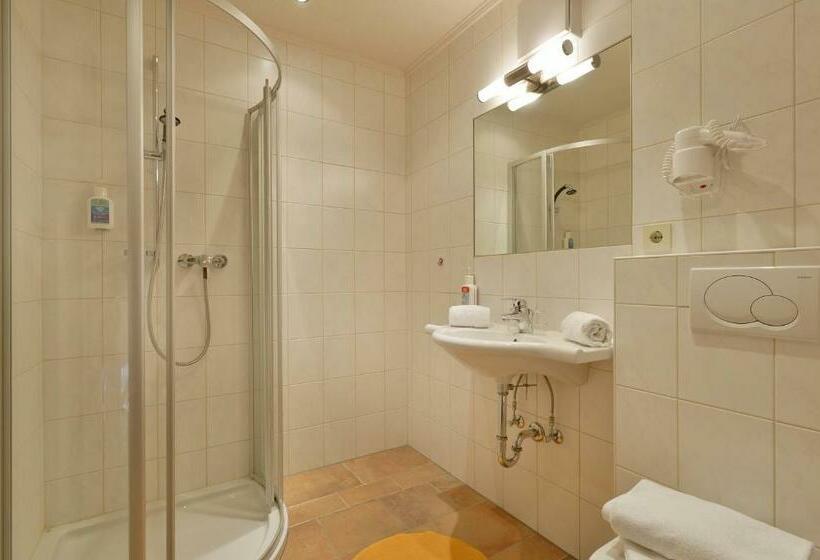 Номер Стандарт Панорамный Вид, Biolandhaus Seethaler