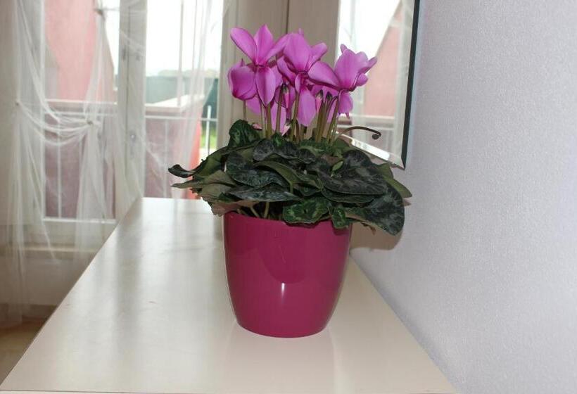 דירת שני חדרים, Aba Village Rta