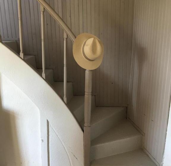 Студия Стандарт, La Maison Haute