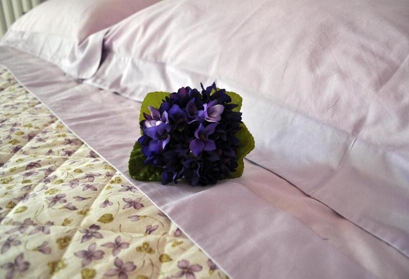 标准间带露台, Olivia B&b And Apartment