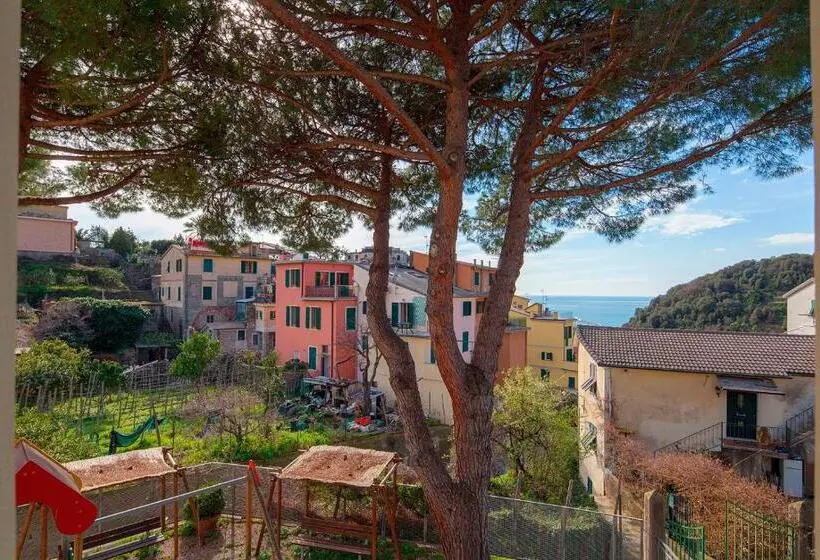 スタンダード４人部屋, Ostello Corniglia