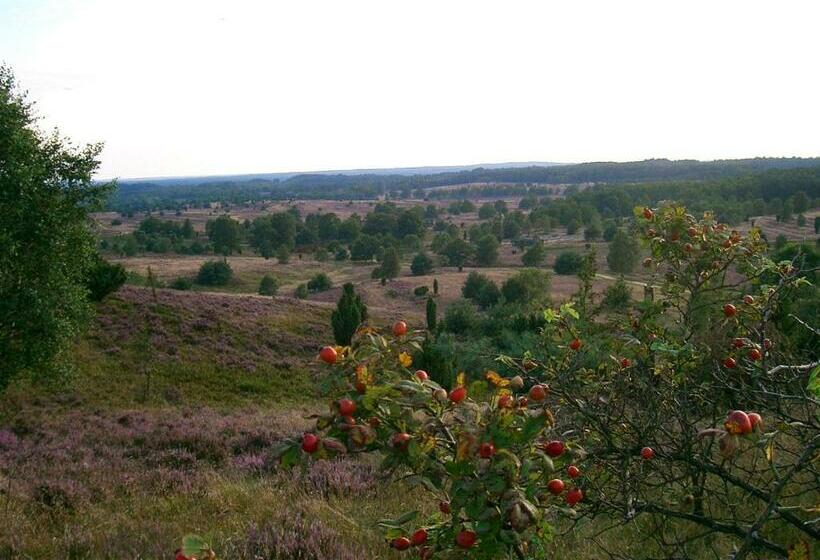 Номер Стандарт, Haus Heidetal