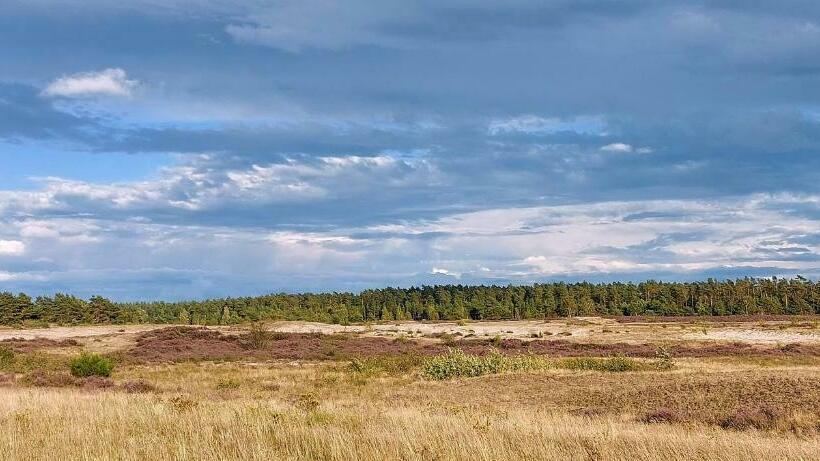 Номер Стандарт, Haus Heidetal