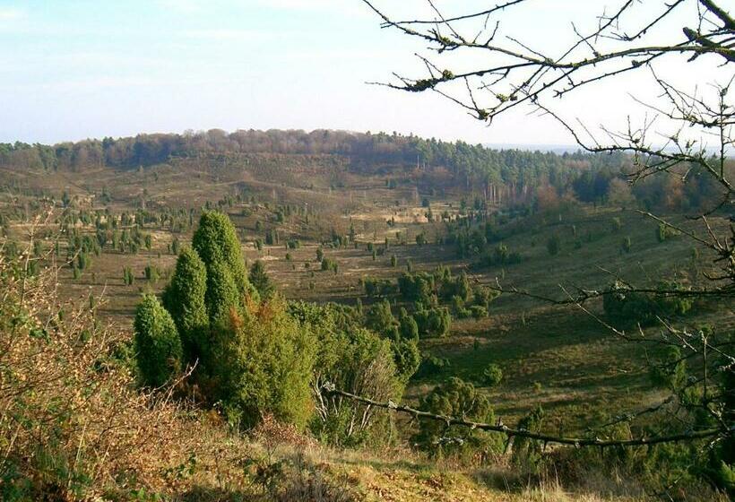 Номер Стандарт, Haus Heidetal