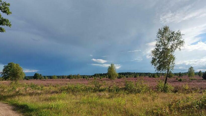 Апартаменты 1 Спальня, Haus Heidetal