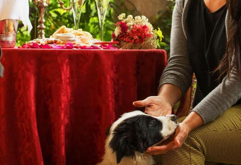 חדר דלוקס, La Dimora Dell'artista