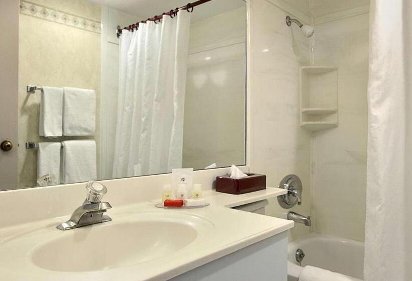 エクゼクティブスイート, Edmonton Inn And Conference Centre