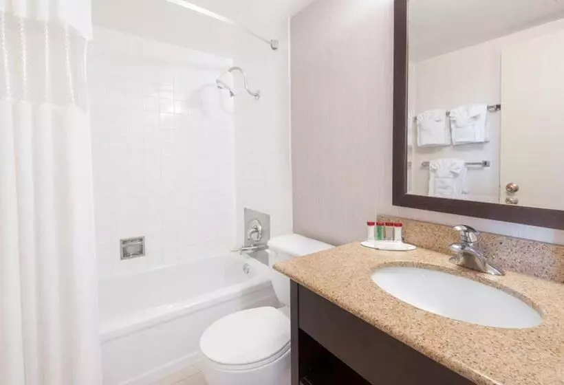 اتاق استاندارد با تخت بزرگ, Edmonton Inn And Conference Centre