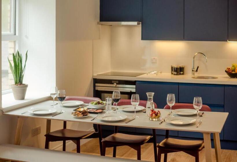 آپارتمان دلوکس 3 خوابه, Isaacs Cork City