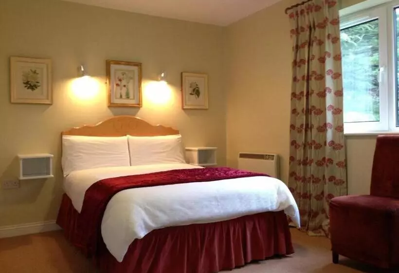 デラックスルーム, Sea Dew B&b