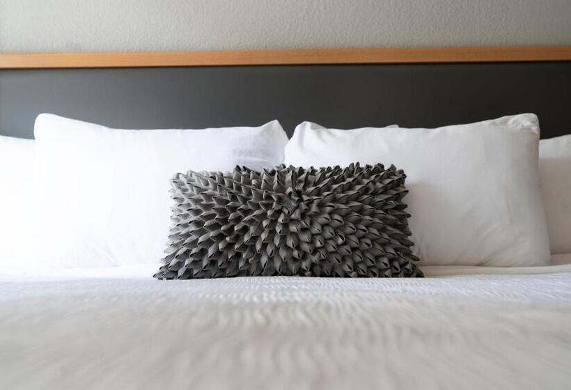 اتاق سوپریور با تخت بزرگ, Saint Clair   Magnificent Mile