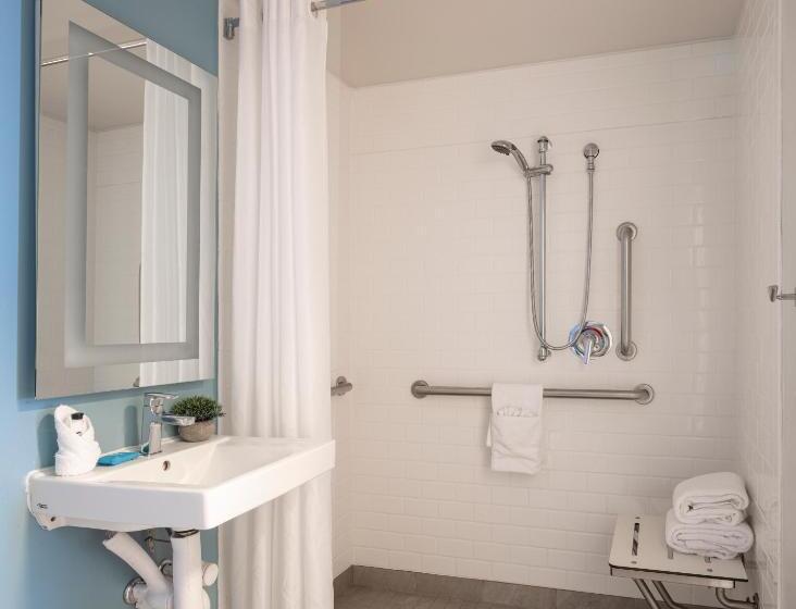 اتاق استاندارد با تخت بزرگ برای معلولان, Saint Clair   Magnificent Mile