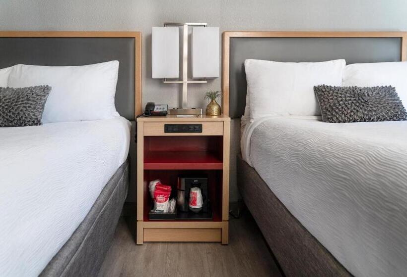 اتاق پرمیوم, Saint Clair   Magnificent Mile