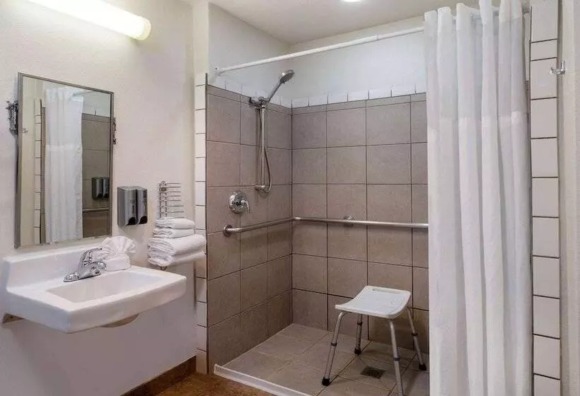 اتاق استاندارد با تخت بزرگ برای معلولان, Microtel Inn & Suites By Wyndham Salt Lake City Airport