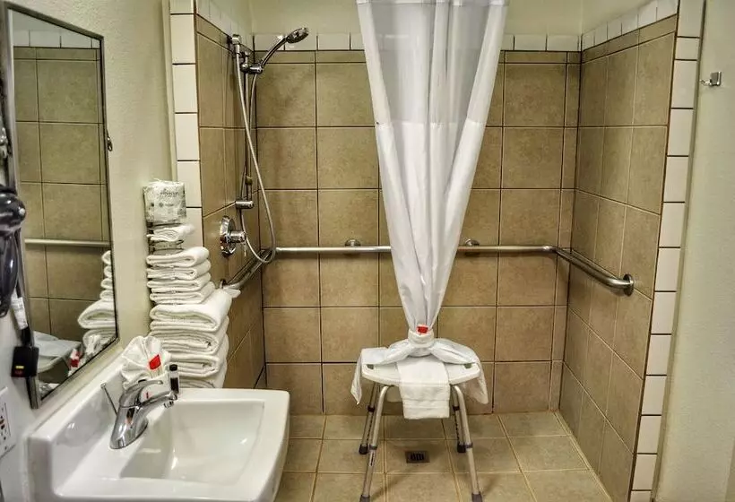 اتاق استاندارد با تخت بزرگ برای معلولان, Microtel Inn & Suites By Wyndham Salt Lake City Airport