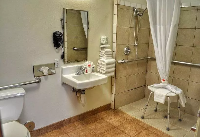 اتاق استاندارد با تخت بزرگ برای معلولان, Microtel Inn & Suites By Wyndham Salt Lake City Airport
