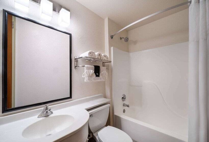 Номер Deluxe, Microtel Inn & Suites By Wyndham Salt Lake City Airport