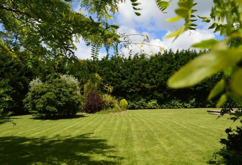 이그제큐티브 룸, The Grange Boutique Guest House