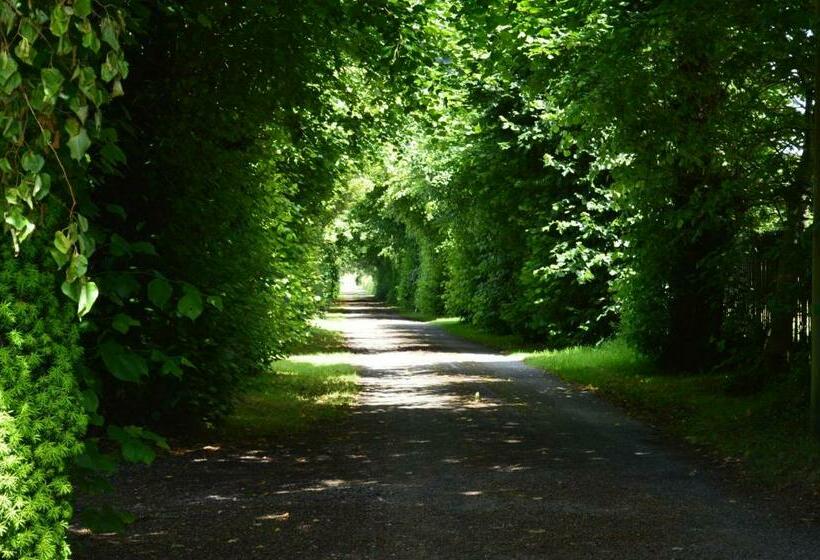 スタンダードルーム, The Grange Boutique Guest House