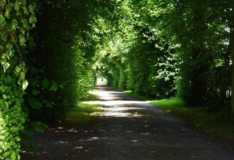 이그제큐티브 룸, The Grange Boutique Guest House