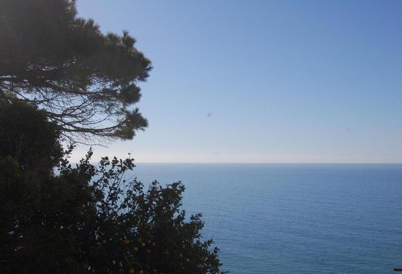 이코노미 룸, Corniglia Dreams