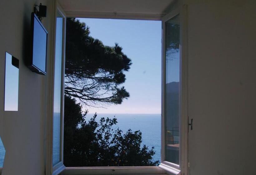 이코노미 룸, Corniglia Dreams