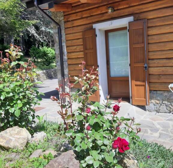 חדר סטנדרט לארבעה, Trout Lodge